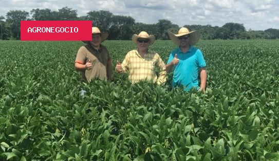 ?Não há produtor que siga no ramo sem fé em Deus’: conheça sojicultor que resistiu às dificuldades e planta