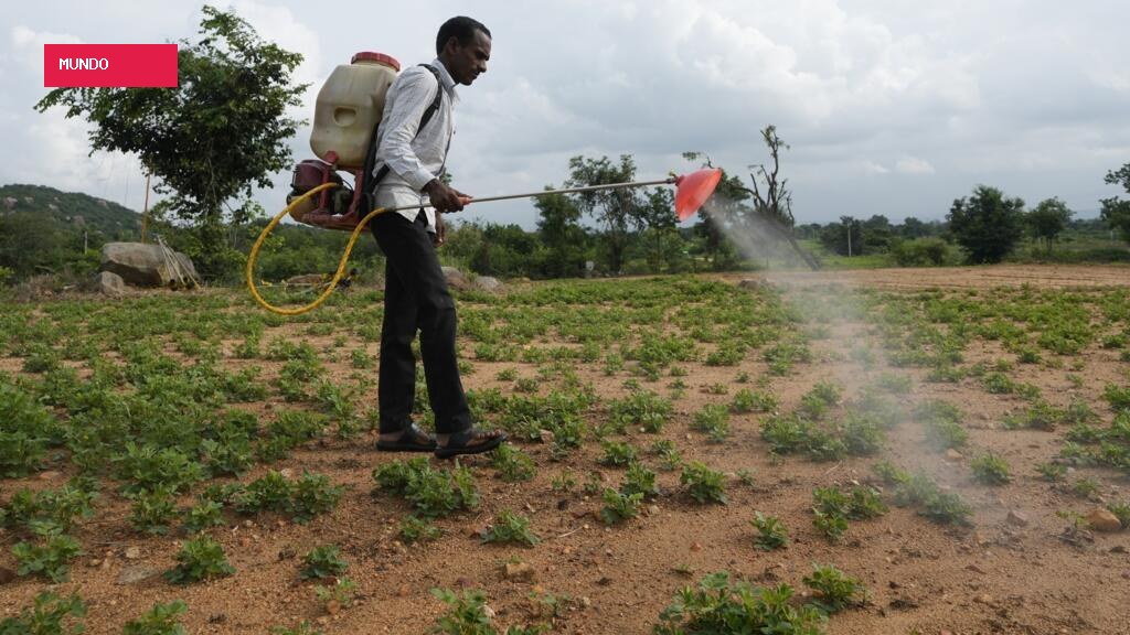 Quase metade dos agricultores no mundo está contaminada por agrotóxicos, mostra relatório