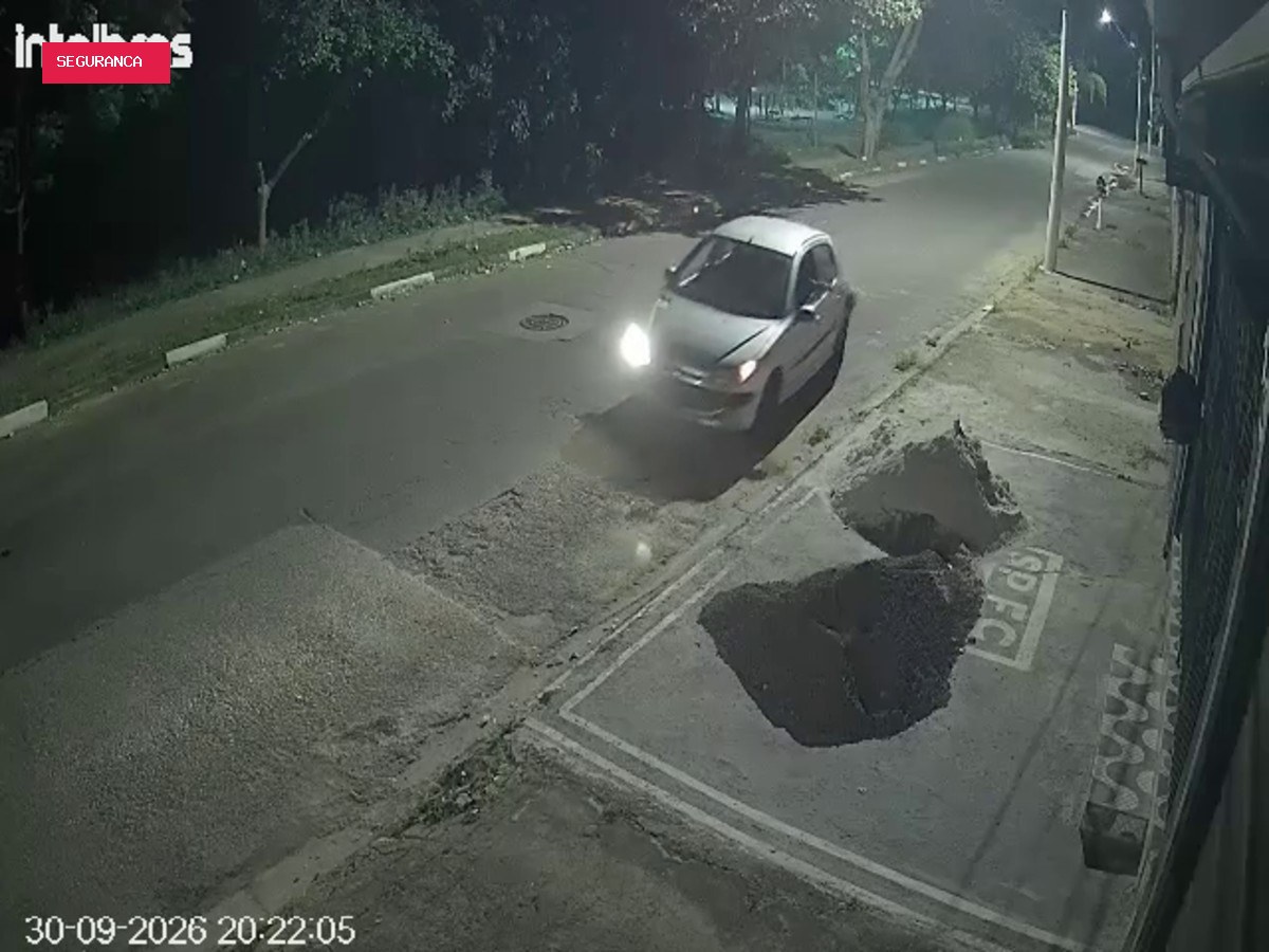 Gato morre após ser jogado pela janela de carro no interior de SP; VÍDEO