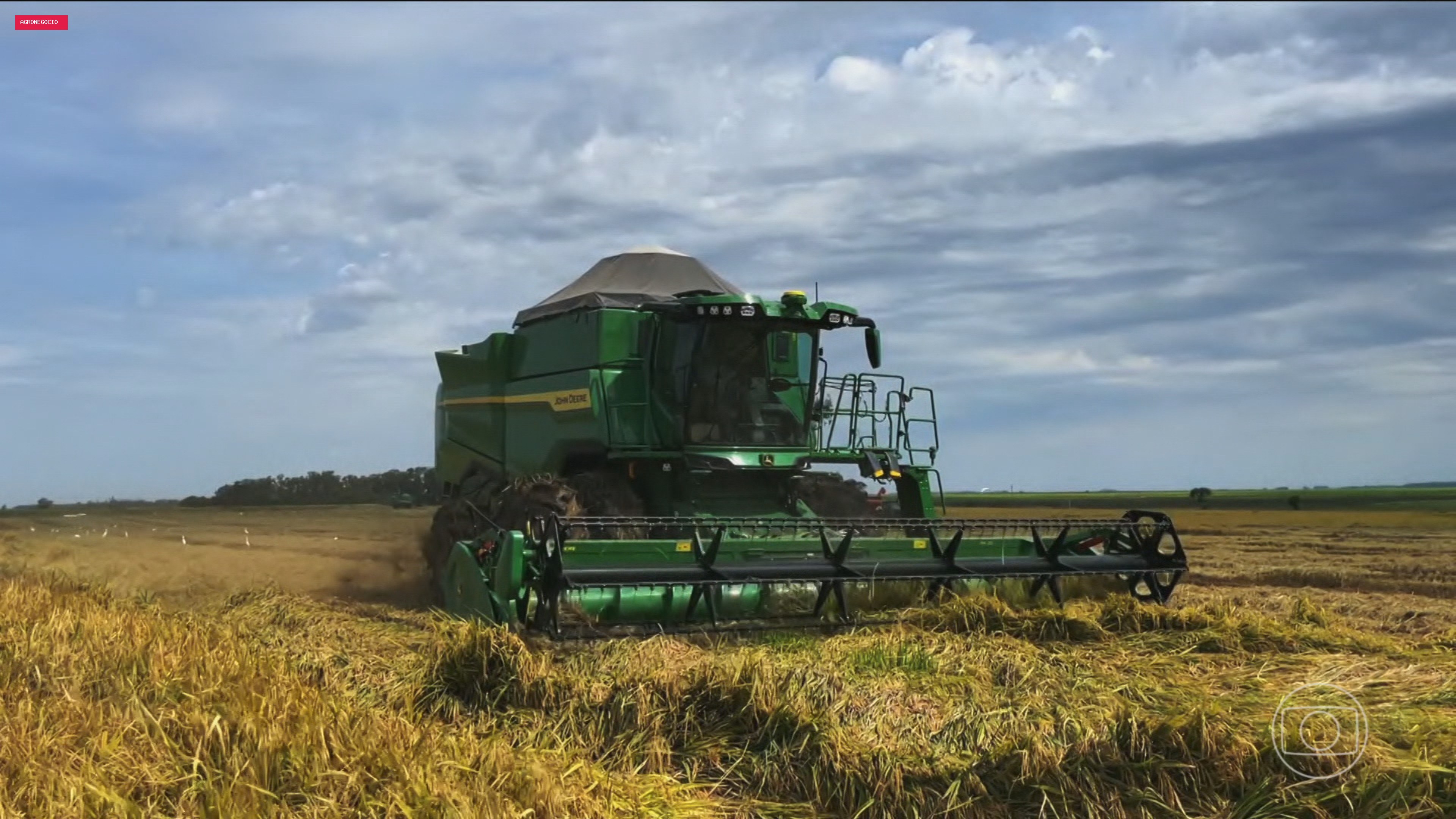Faturamento das 10 maiores empresas do agro cresce 11% e chega a R$ 1,24 trilhão