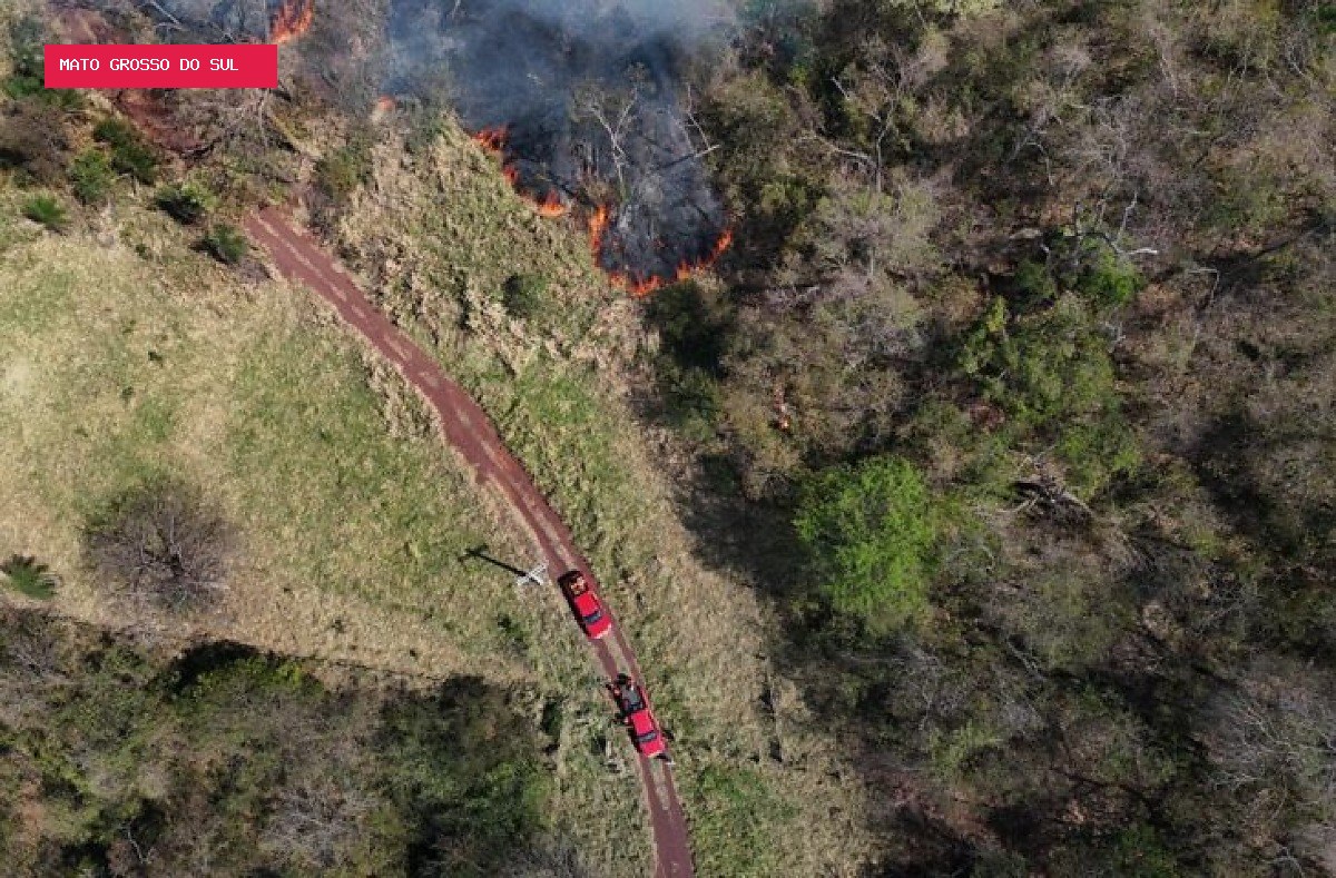 El Niño pode elevar temperaturas e risco de incêndios no Pantanal