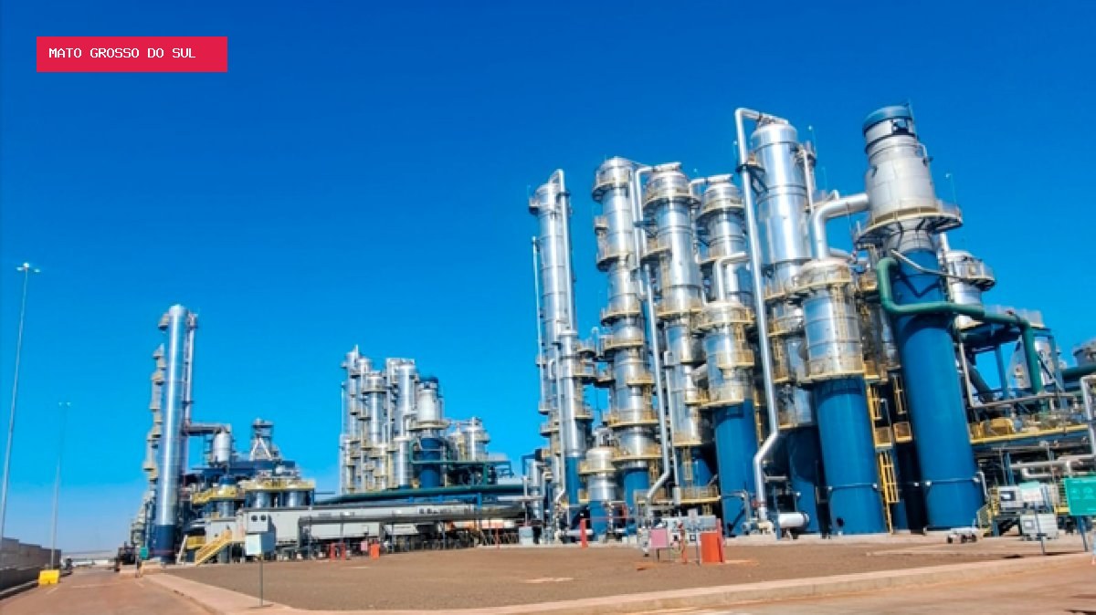 Etanol de milho aumenta demanda por biomassa em Mato Grosso do Sul