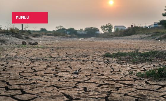 Cada minuto conta contra seca causada por El Niño
