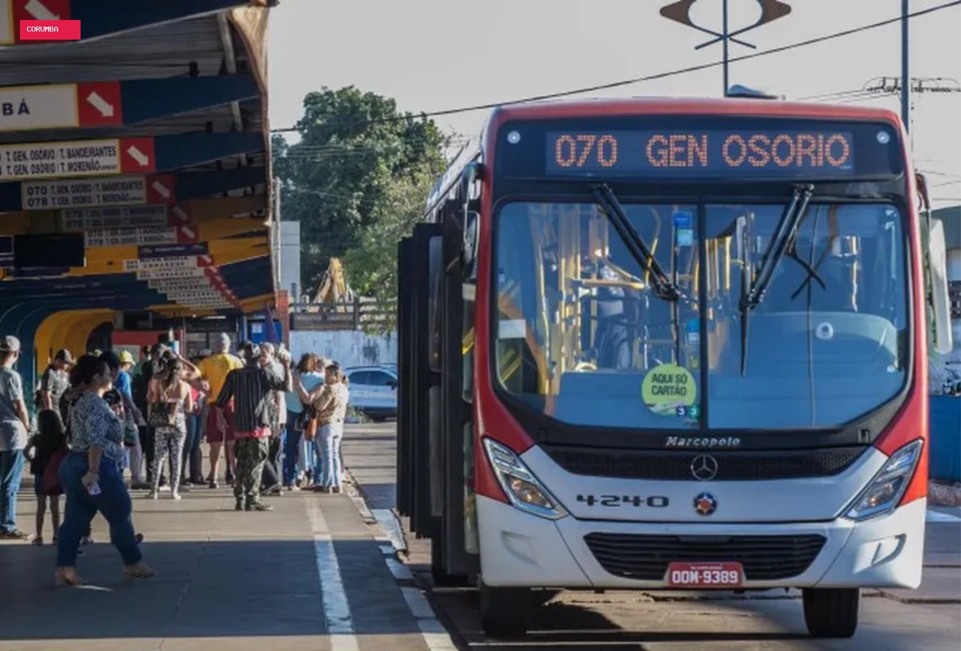 Ônibus serão gratuitos no 2º turno das eleições em cinco cidades de Mato Grosso do Sul no domingo (25)