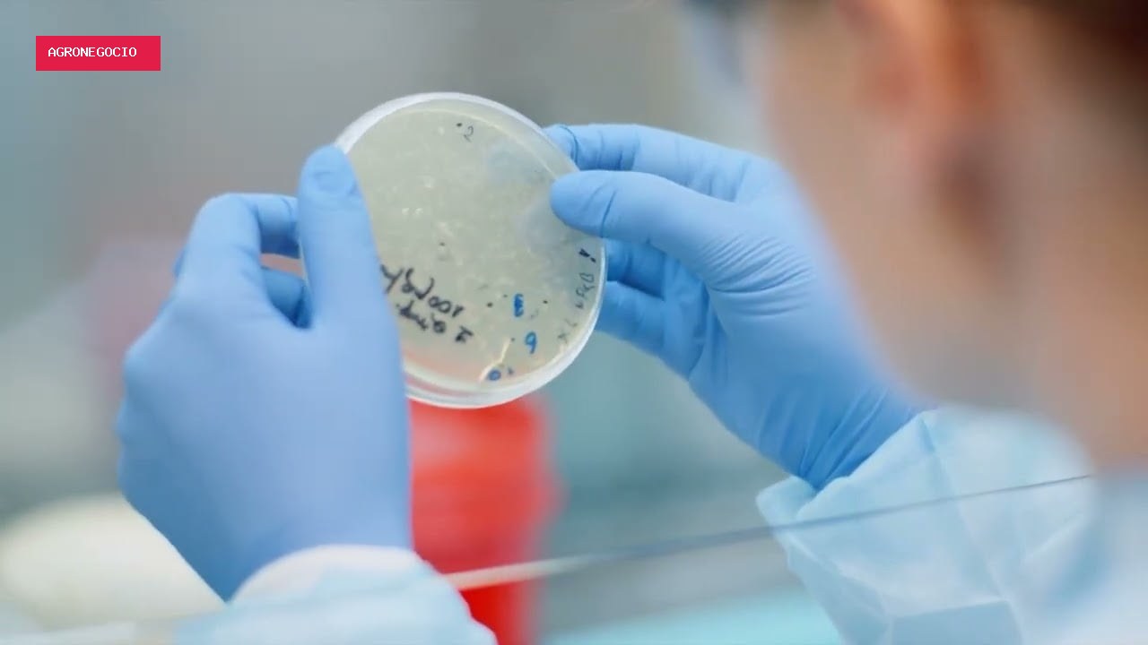 Mercado de bioinsumos deve fechar 2026 com alta de 7% em valor e 10% em volume