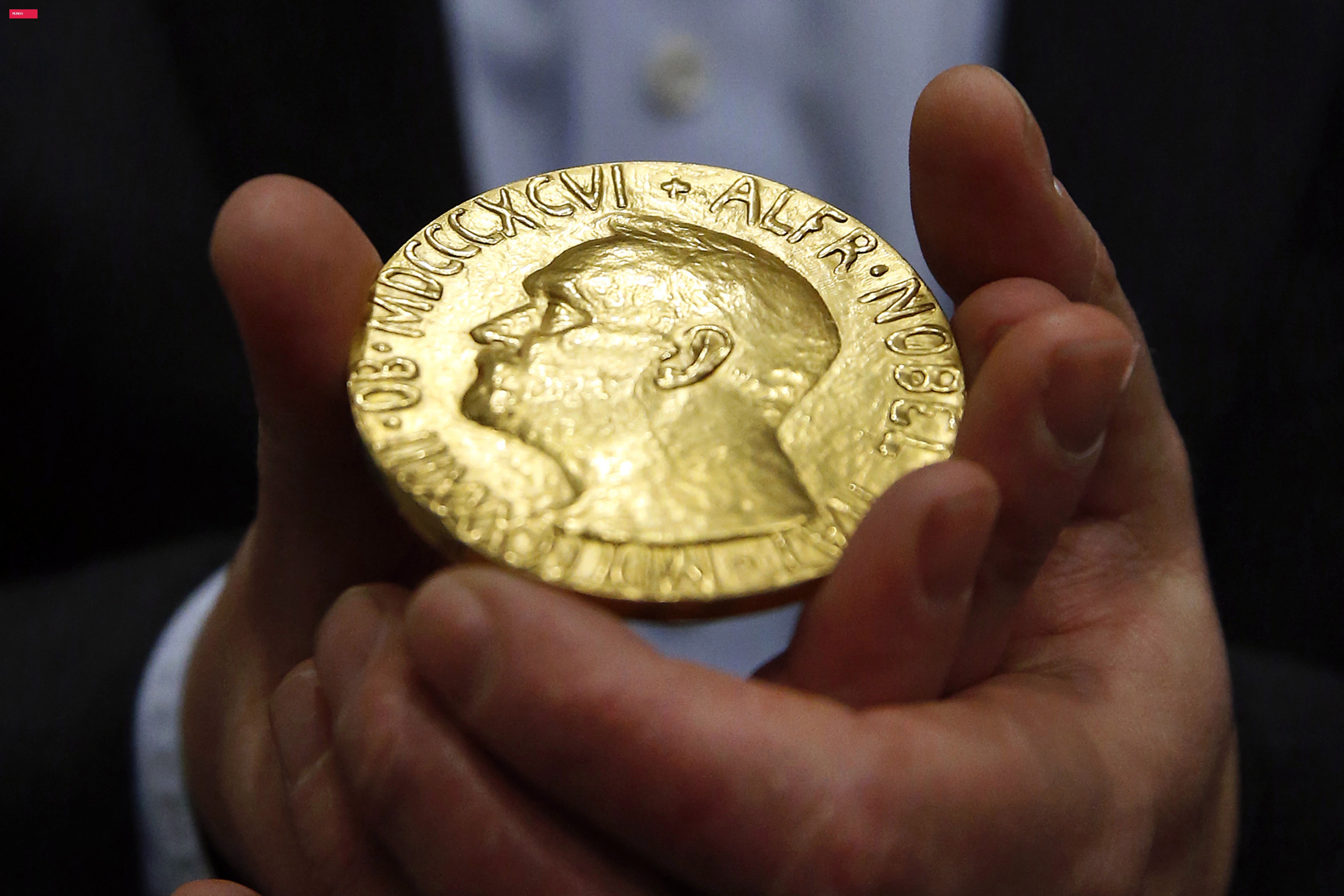 Comitê do Nobel mira quem promove a paz em uma ordem mundial em transformação, diz instituto