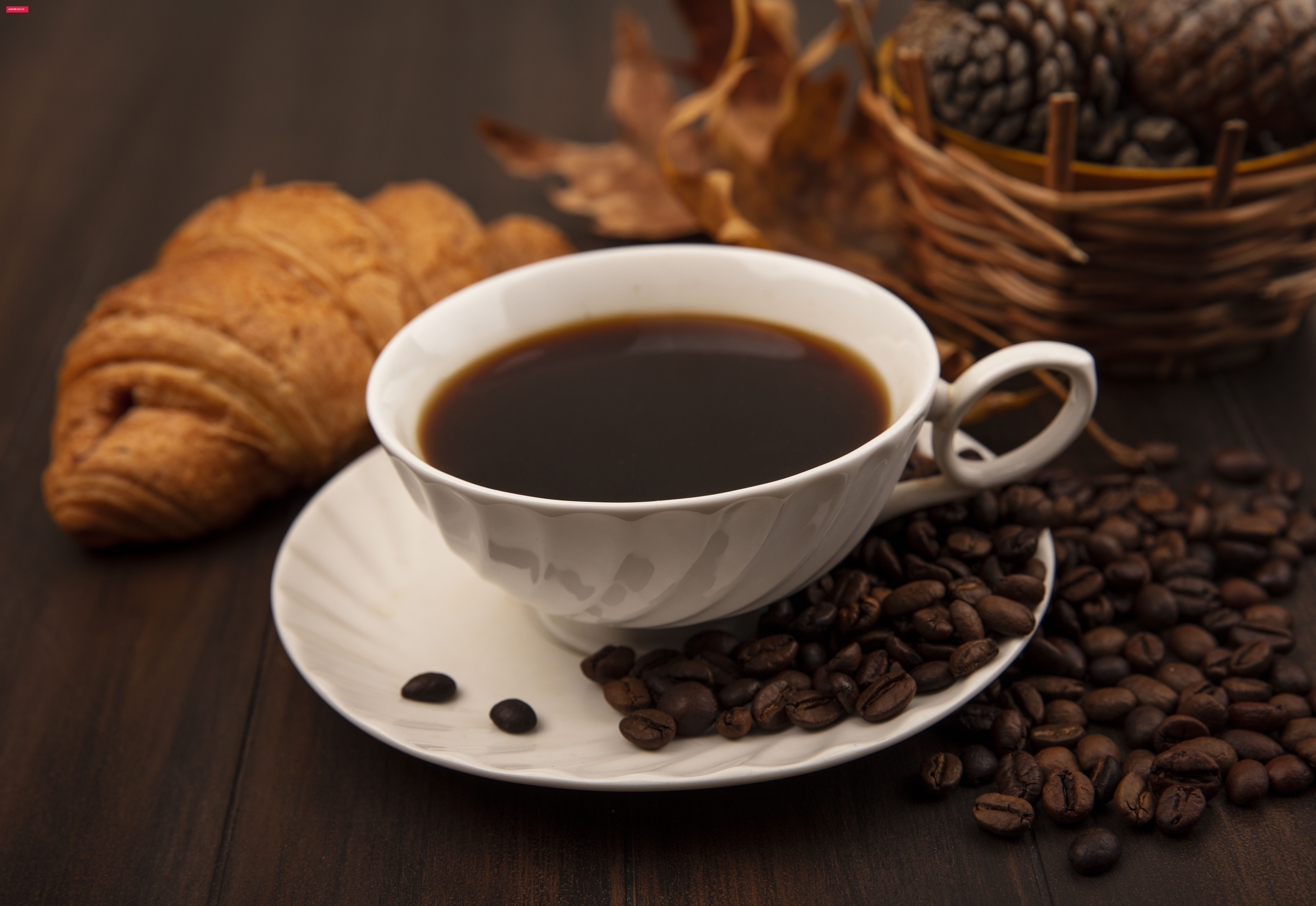 Dia Internacional do Café: teste seus conhecimentos sobre a bebida queridinha dos brasileiros