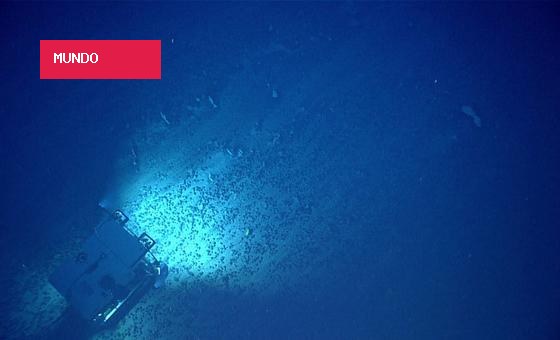 Brasileira à frente de agência global quer desvendar mais o fundo dos oceanos